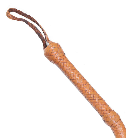 Brown leather whip on a white background