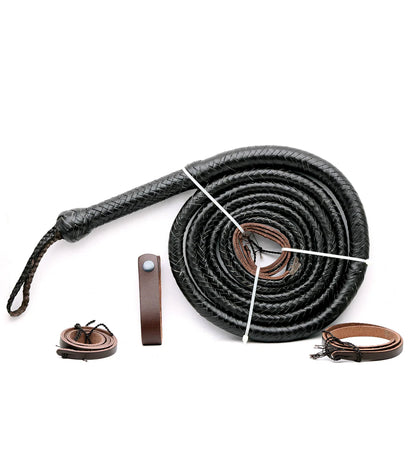 Chocolate leather whip with brown accents on a white background