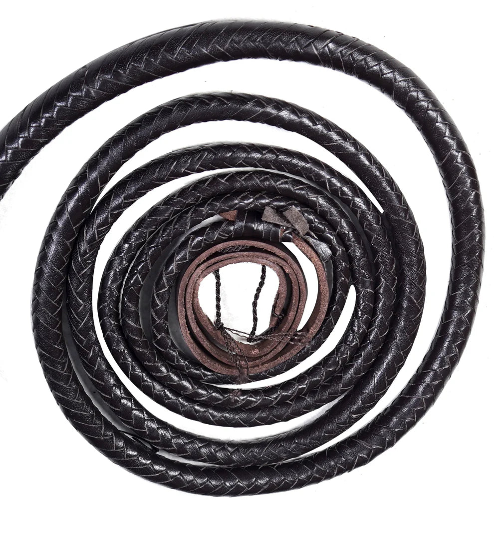 Coiled Chocolate leather whip on a white background