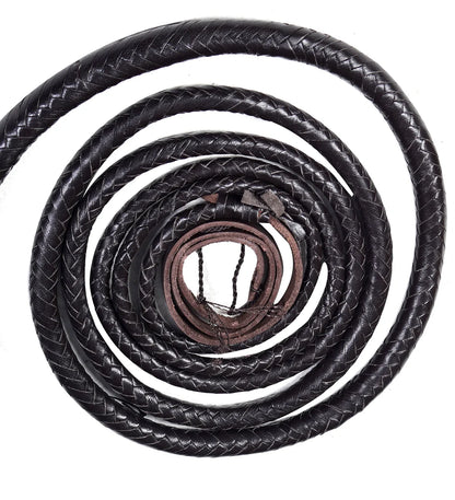 Coiled Chocolate leather whip on a white background