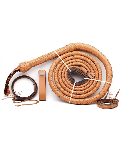 Brown leather dog leash with a metal clip on a white background
