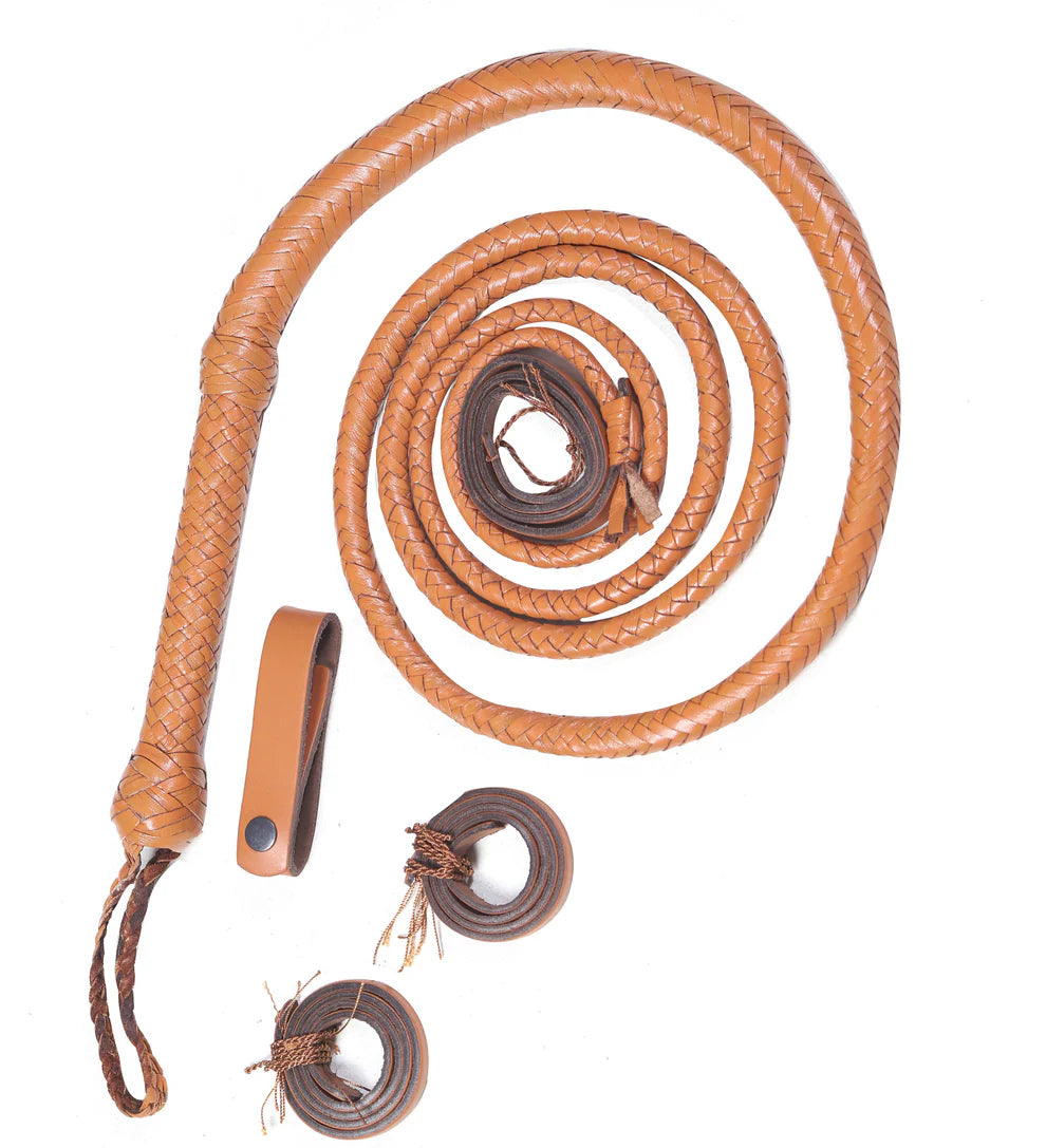 Brown leather whip on a white background