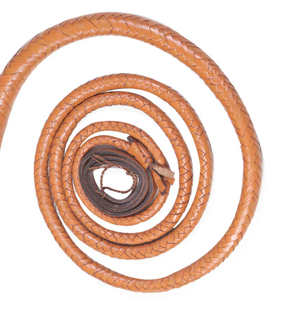 Coiled brown leather whip on a white background